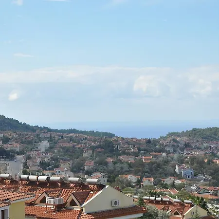 Angel A2 * Ovacık